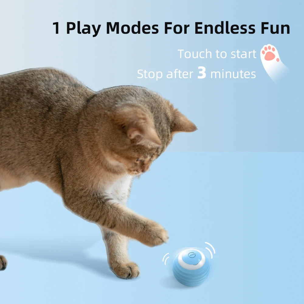 Elektrischer Katzenball | Interaktives Spielzeug für aktive Stubentiger