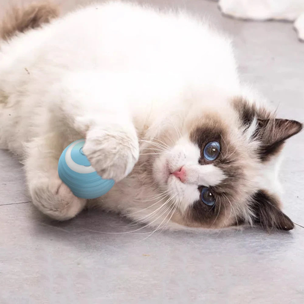 Elektrischer Katzenball | Interaktives Spielzeug für aktive Stubentiger