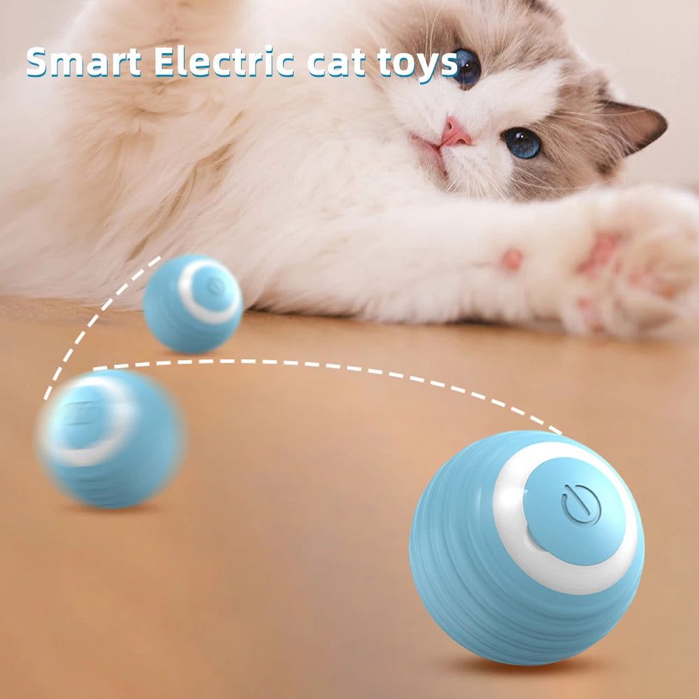 Elektrischer Katzenball | Interaktives Spielzeug für aktive Stubentiger